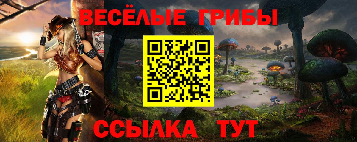 Псилоцибиновые грибы Cubensis  Псилоцибиновые грибы мухоморы  Вход с VPN  Улан-Удэ 