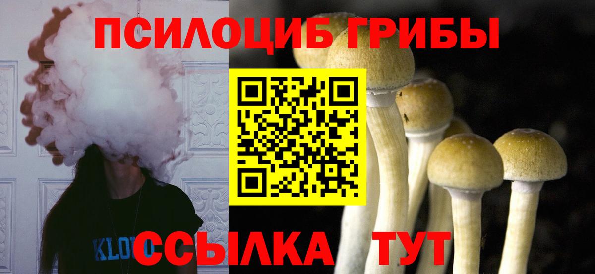 Галлюциногенные грибы Psilocybine cubensis Улан-Удэ